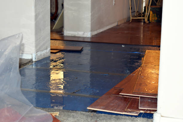 Professional Basement Water Removal technician working in Saddle River, NJ